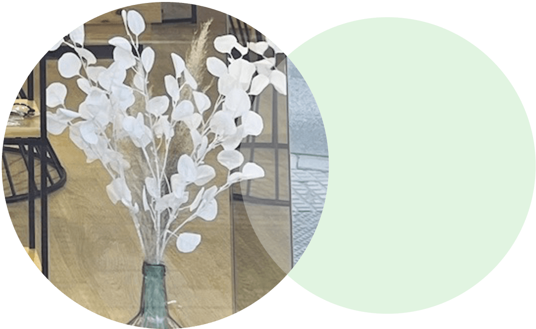 cocóptica · óptica online · contacto · bienvenidos